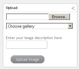 Screen shot of uploader